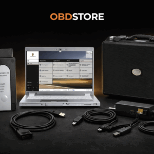 PWIS III with Latest Developer Mode Full System